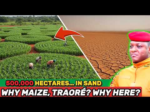 What’s Really Behind Traoré’s 500,000-Hectare Sahel Desert Maize Plan With Water Pits?
