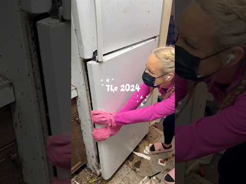 MY PERFECT 2024!!! 😭💖With the world's best sponsors @scrubdaddy @scrubdaddyuk @sinicleaning