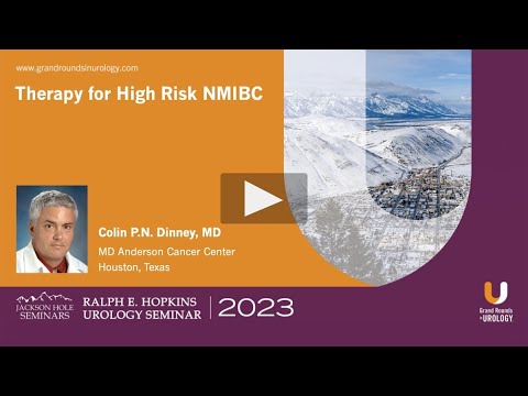 Therapy for High Risk NMIBC