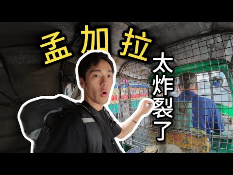 去孟加拉旅行的第一天，司机直接路边开大！环球旅行｜孟加拉国Bangladesh