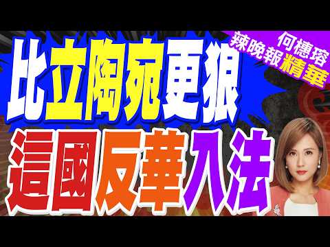 反華竟入法律 這國步上立陶宛後塵｜比立陶宛更狠 這國反華入法｜栗正傑.張延廷.施正鋒深度剖析【何橞瑢辣晚報】精華版 @中天新聞CtiNews