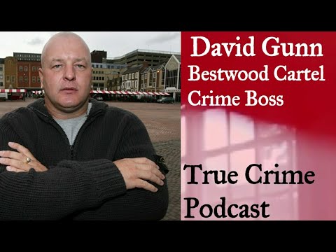 David Gunn: Bestwood Cartel Crime Boss - 23 Years in Prison - True Crime Podcast No 1 : Part One