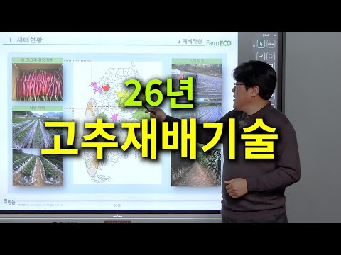 26 years of pepper cultivation technology