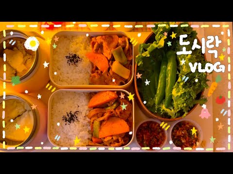 [VLOG] 이번 주.. 저의 도시락은요ʕ •̀ ω •́ ʔ✨💭매콤제육,계란찜 도시락🍱/날치알 크래미마요주먹밥 도시락🍙🌼/순두부찌개,고등어구이 도시락🔥/망고산도🥭소고기 야채죽🥣✩゜