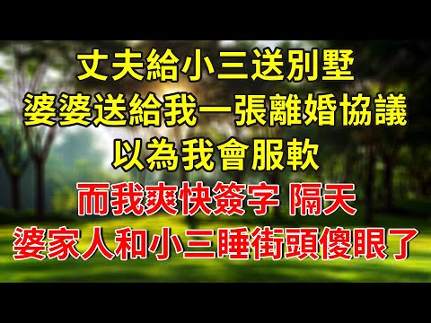 丈夫給小三送別墅，婆婆送給我一張離婚協議，以為我會服軟，而我爽快簽字，隔天婆家人和小三睡在街頭傻眼了...#生活經驗 #人生感悟 #故事分享 #故事頻道 #正能量 #情感 #感情