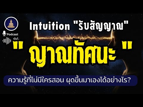 จูนสมอง "โหลดข้อมูลจักรวาล" ไขรหัสลับพุทธะ I #นะโมพุทธายะ