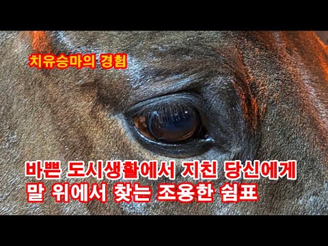 Experience of therapeutic horseback riding