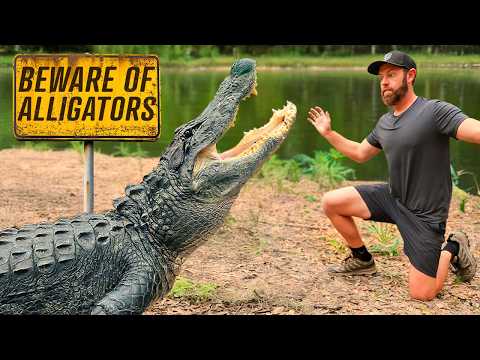 Private Tour of Florida's Deadliest Backyard