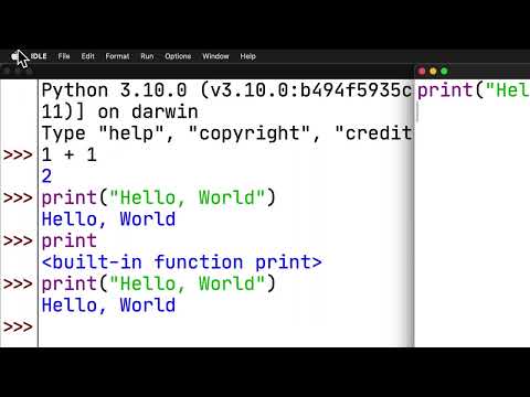 Your First Python Program and Making Mistakes: Python Basics