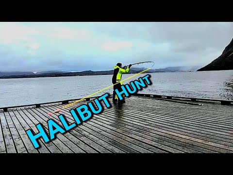 Hunting arctic halibut ! Careful what you wish for !