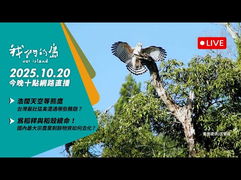 【今晚十點 🔴LIVE】2025.10.20 公視我們的島第1328集 播出