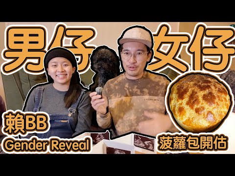 男仔定女仔｜Gender Reveal｜港式菠蘿包開估｜賴BB性別   4K