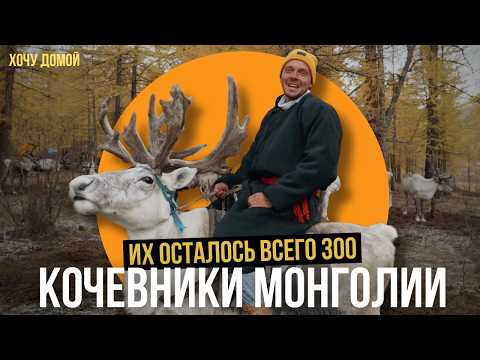 Я стал оленеводом в глухой тайге Монголии и живу с кочевниками Цаатанами