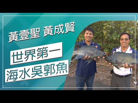 草地狀元-全球唯一海水吳郭魚達人(20190415播出)careermaster