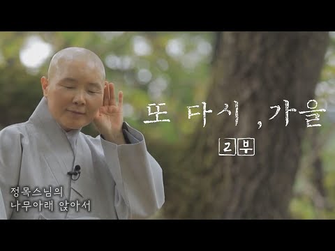 [추석특집] 이 세상을 따뜻하게 품을 수 있는 넉넉한 마음만 있다면..-정목스님의 나무아래 앉아서 '또 다시, 가을 2부'