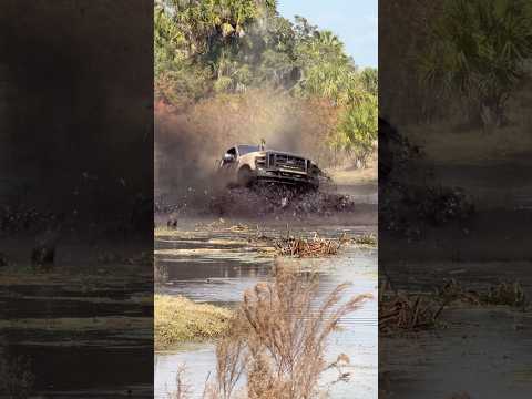 Plant Bamboo TRUCKS GONE WILD weekend #megatruck #mudbog #offroad #mud