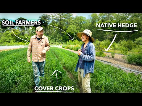 Boosting Soil Health Through Cover Crops and Hedgerows | Assawaga Farm