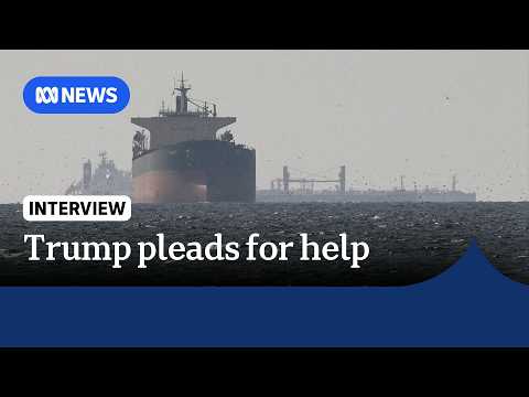 US does not have capacity to unilaterally open Strait of Hormuz: expert | ABC NEWS