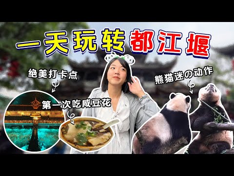 【川藏旅游EP15】成都城外都江堰你听说过吗？没想到这里这么好逛！夜景熊猫通通有！