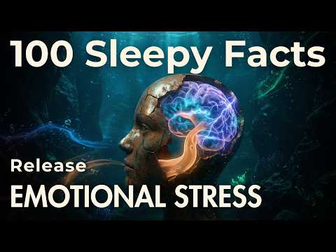 How Your Brain Processes Emotions When You Sleep? Sleepy Mind Science