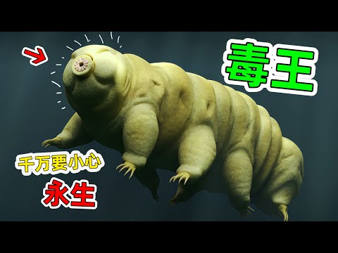 全世界動物超能力：排名第一更是無敵的存在，真的會毀滅人類？原來永生不死生物是真的存在｜動物界百毒之王是多麼的逆天。#世界動物超能力 #動物超能力 #老王看世界