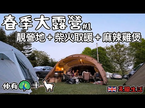 春季大露營｜靚營地＋柴火取暖＋麻辣雞煲開餐！仲有草泥馬￼ +孔雀｜BillyGoOut Camping #1   4K