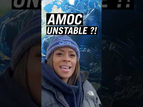 How We Know The AMOC Will Collapse Again