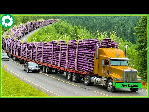 250 Jaw-Dropping Most Dangerous Transport Skills | Biggest Heavy Machinery Machines