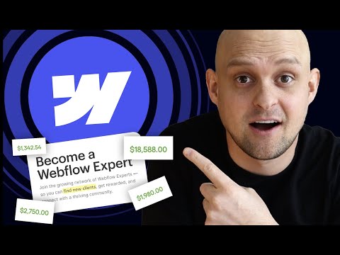 The Webflow Niche is a Goldmine - Here’s why…