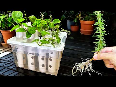 💧The Machine that ROOTS 10 Times Faster