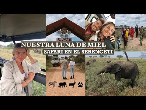 HONEYMOON IN THE SERENGETI, TANZANIA - VLOG (PART 1) | Julia March
