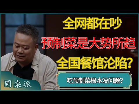 全网都在吵预制菜，吵的到底是什么?吃预制菜根本没问题？ #窦文涛 #梁文道 #马未都 #周轶君 #马家辉 #许子东 #圆桌派 #圆桌派第七季