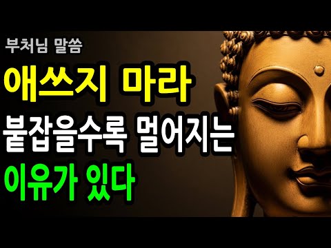 [부처님 말씀] 애쓰지 마라… 조급할수록 멀어지고, 모든 인연은 때가 되면 온다 | 명언 l 지혜 l 오디오북 l 인생조언 l 삶의지혜 l 인생명언