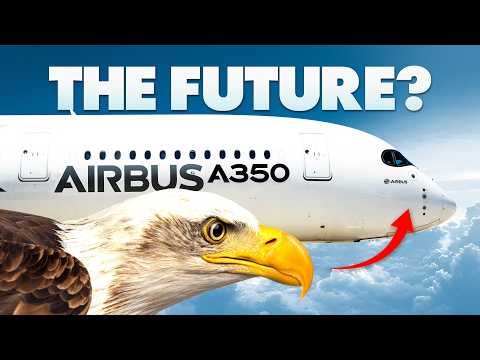 Are BIRDS Changing the Aviation Industry?