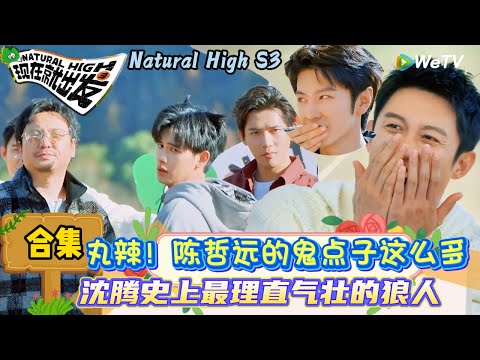 【现在就出发 第3季】捣蛋鬼狼人杀：丸辣！沈腾陈哲远玩高端局，黄景瑜范丞丞是最大受害者！| Natural High S3#现在就出发3#综艺#沈腾#范丞丞#王安宇#贾冰#黄景瑜#金晨#陈哲远