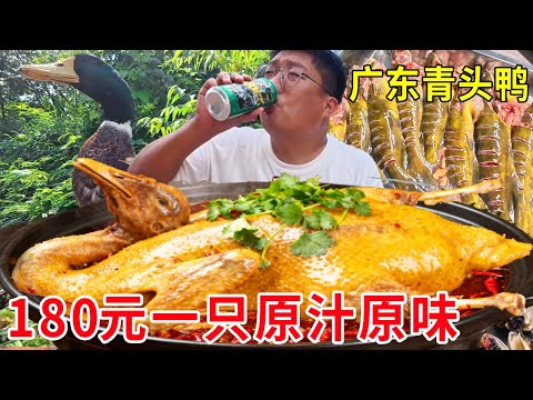 广东清远山涧散养青头鸭，180元一只地胆头清蒸，原汁原味太香了#麦总去哪吃