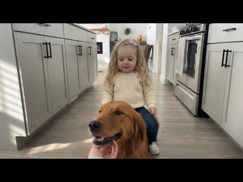 The Dog Refused To Bark At The Intruder. When The Dad Saw Why, He Cried