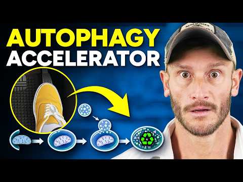 Immediately Triple Autophagy While Fasting (in literally minutes)