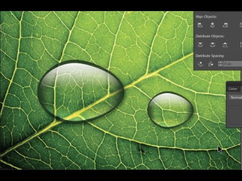 How to create a realistic water drop in Adobe Illustrator