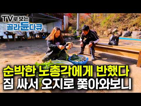 A chance trip to a remote village and a fateful encounter｜A city girl who falls in love with an i...