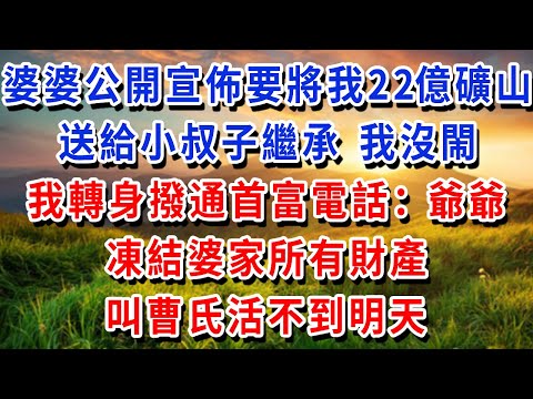 婆婆公開宣佈要將我22億礦山，送給小叔子繼承 我沒閙，我轉身撥通首富電話：爺爺 凍結婆家所有財產，叫曹氏活不到明天！#書婷講故事 #為人處世#生活經驗#情感故事#晚年哲理#說故事#完結文
