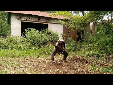 A Place That Has Been Abandoned For a Decade! The Weeds The Beauty Returns! #housecleaning #home