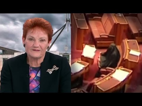 ‘I have a right’: Pauline Hanson defends her Senate burqa stunt