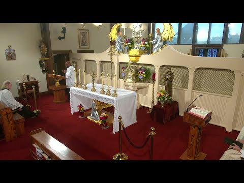 Daily Readings and Homily - 2025-10-04 - Fr. Mark