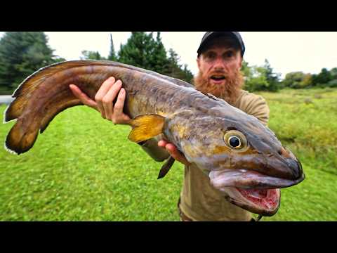 Deep Sea Shark Fishing (surprise catch!!!) - Catch, Clean, Smoke