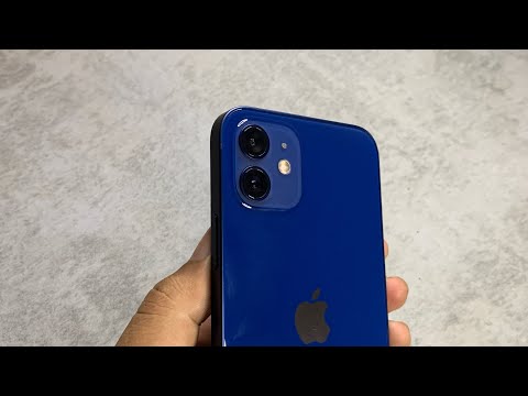 iPhone 12 Review: The People's Choice