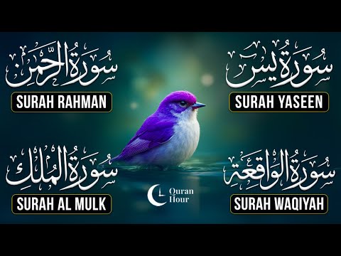 Very Nice Voice Surah Yaseen | Surah Rahman | Surah Waqiah | Surah Mulk l Reciter Ashraf Hussain