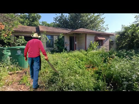 This Seemed Like a Normal CLEANUP… Then We Heard CRIES From INSIDE