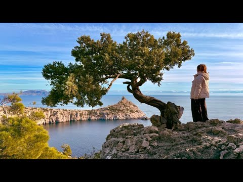 CRIMEA. If PARADISE exists, it's HERE! NEW WORLD. Juniper grove in winter. Embankment. Sudak.
