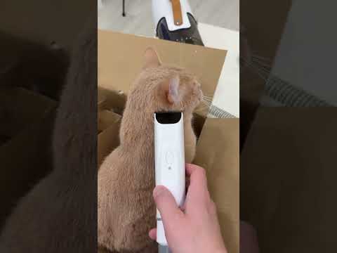 This Pet Grooming Vacuum Changed Everything! 🐾💨AiRROBO PG100